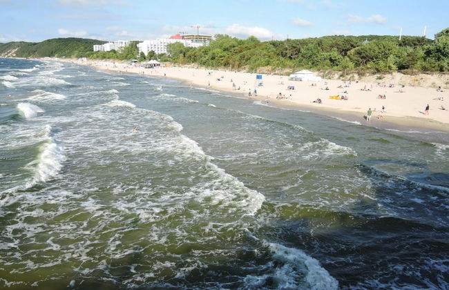 Bungalows in Wrzosowo - The Bird's Cage for 4 Persons - Photo 11
