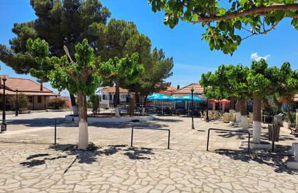 Heirlooms and Halos - Foto 52