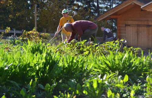 Agritur Scoiattolo - Foto 48