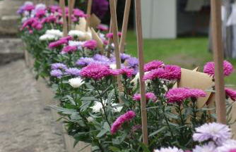 Schloss Blankensee exklusiv - Foto 39