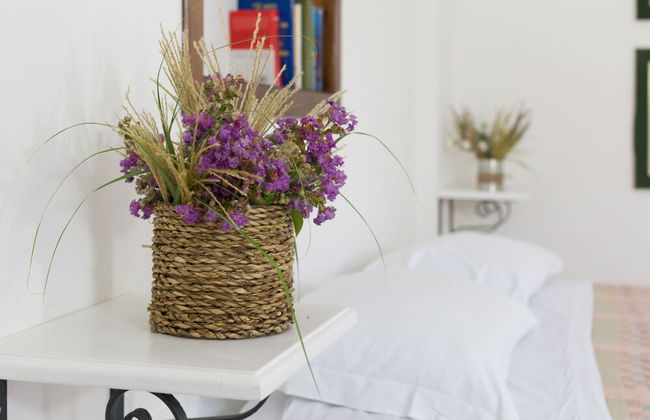 Agriturismo di Serragiumenta - Foto 46