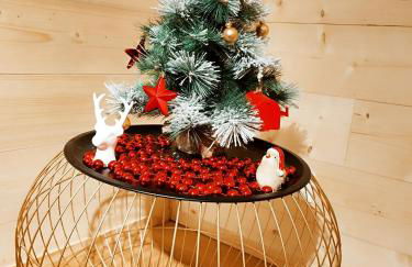 Bel appartement proche Saint Lary Soulan - Foto 22