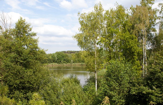 2 bedroom House in Belfeld with swimming pool and terrace - Photo 30