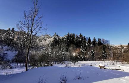 Wieś odNowa - Photo 10