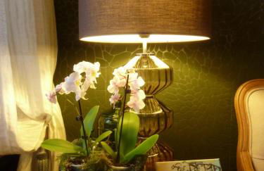 Golden Treasure Deluxe - Foto 33