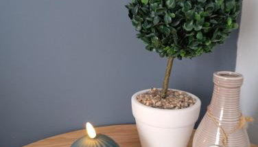 Comfy Studio - Photo 3