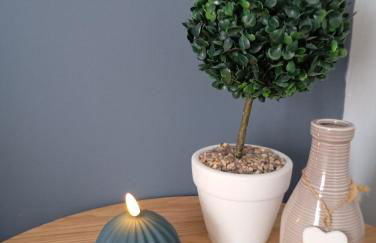 Comfy Studio - Photo 3