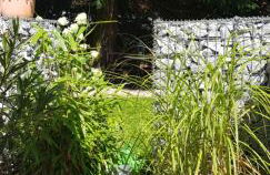 Marbachtäle - Foto 5