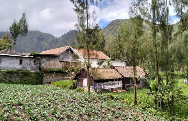 Villa Tengger Asri 5 Gunung Bromo - Foto 16