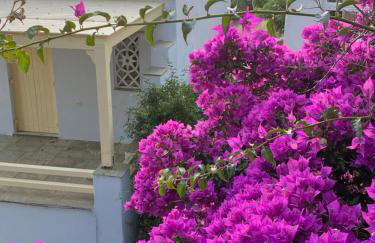 Helios Panormos Apartment - Foto 44