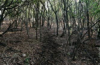 Hadley's House - A Country 3 Bdrm with Screened-In Porch - Foto 17