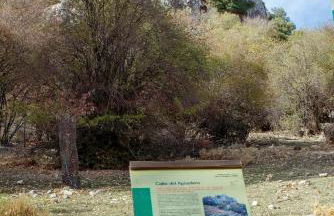 Miramundos Jacuzzi privado y vistas Escapadas románticas en Magina - Foto 28