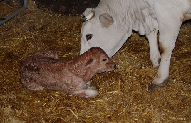 Agriturismo Casale dei Frontini - Foto 37