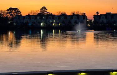 Sunset Serenity!!-Tropical Waterfront Oasis-Huge Private Patio-10Min to KingSt & Beaches - Foto 66