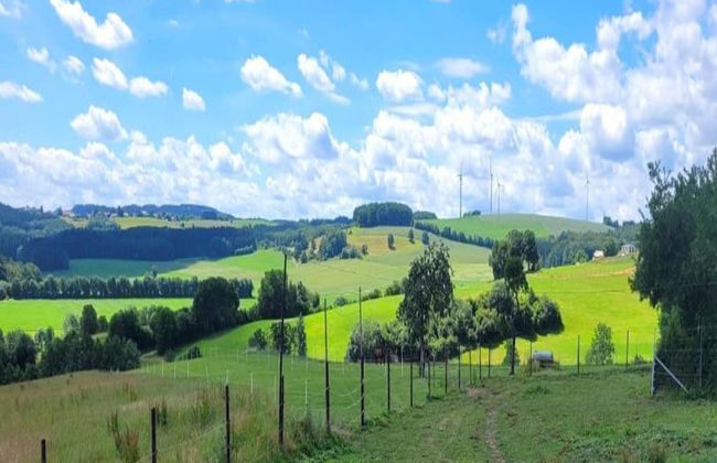 Chalet in Reinskopf With Fireplace and Balcony - Photo 22