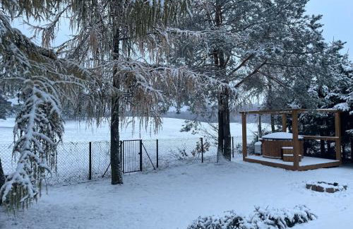 Kisielkowo - Foto 21