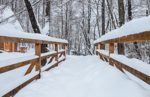 Vodenica Vrelo Chalets - Foto 37