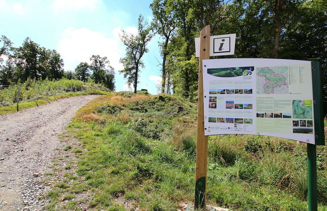 Sauna Retreat in Herbeumont - Photo 24