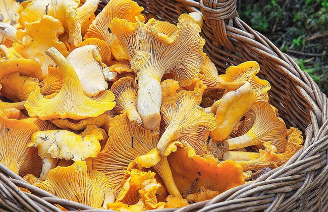 6 Person Holiday Home in Gagnef - Foto 10