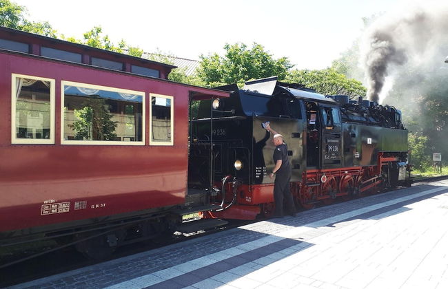 Ferienwohnung Nahe Wernigerode - Foto 31
