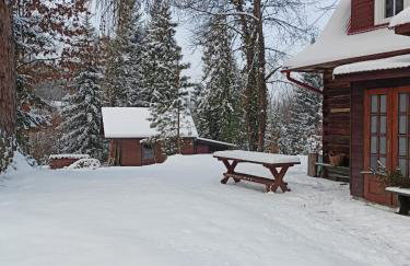 Willa Witówka - Foto 26