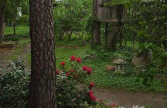 Leśny kasztel pod sosnami. Pokój w koronach drzew. - Foto 24