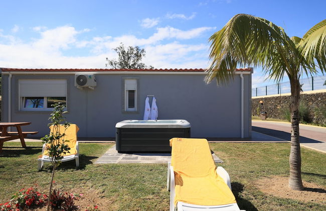 Parrots Village - Foto 29