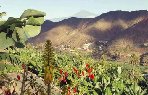 Casa Tajaraste 1 - Foto 9