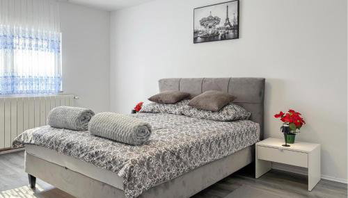 Stunning Home In Salopeki Modruski With Wifi - Photo 5