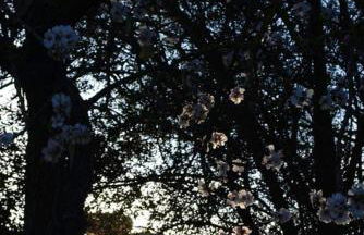 ZAGARA Home - Foto 47