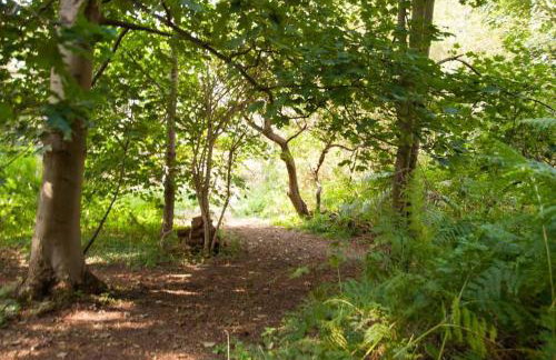 Laundry Cottage in a Nature Reserve - Sunday Times 100 coolest Cottages - Foto 9