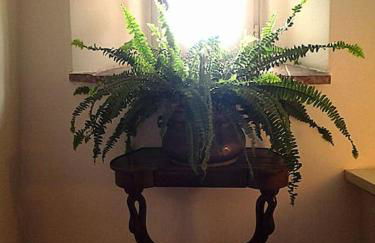 Near the sea big panoramic house 2 terraces in lovely village - Foto 24