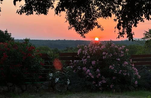 Apartment Vidoni - Photo 38