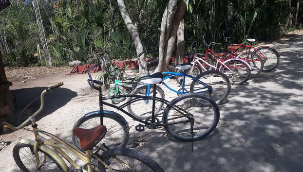 Cenote Xcanche Ticket - Foto 3