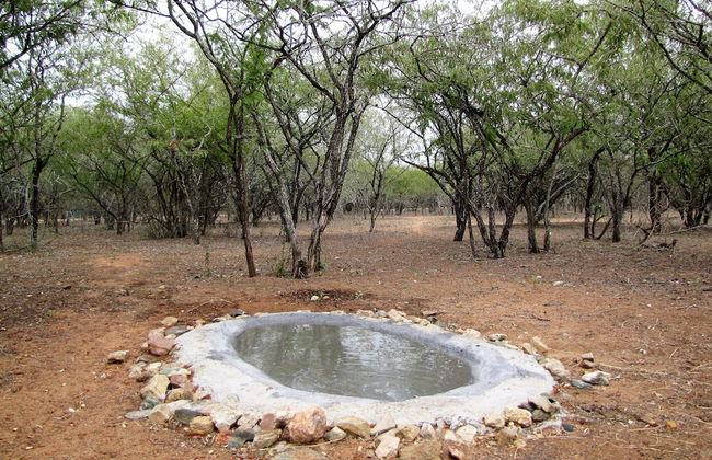 Umvangazi Rest - Enjoy a Relaxing, Rejuvenating and Peaceful Setting in the Bush - Foto 38
