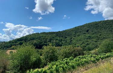 Ferienwohnung Vino Palatina - Foto 27