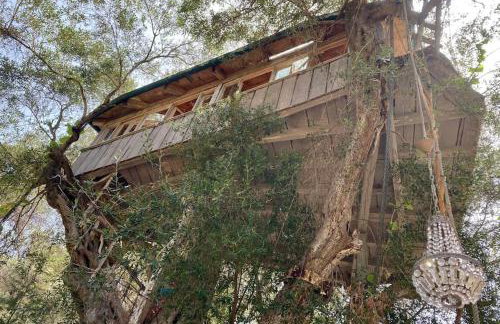 Margaritis's Treehouse - Foto 18
