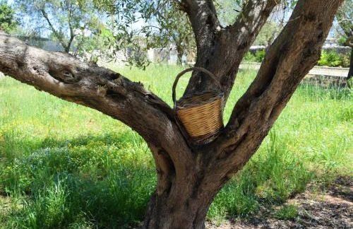 Charming House Muro Leccese + Terrace - Foto 37