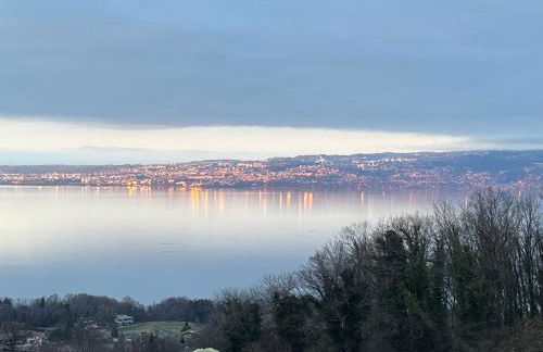 Maxilly appart - Foto 1