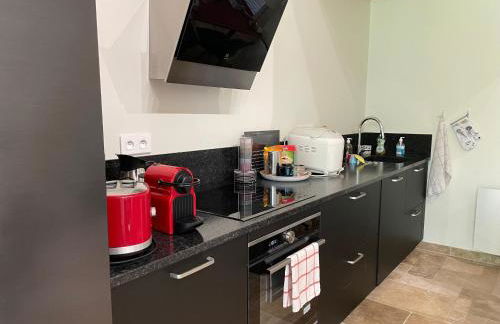 Échappez-vous à la campagne sarthoise: charme, nature, proximité 24H du Mans & zoo! - FR-1-410-448 - Photo 3