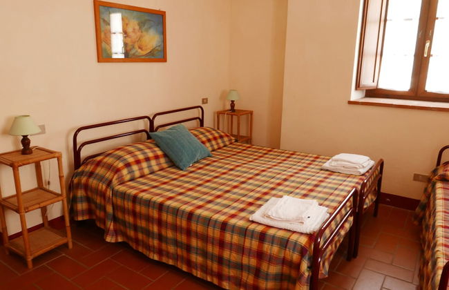 Fattoria Gambaro di Petrognano - Foto 4