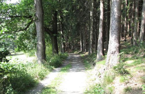 Stollenklause - Foto 36