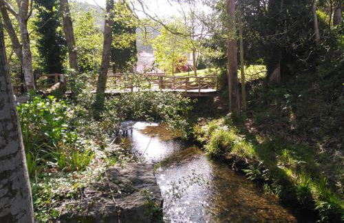 Muiño das Cañotas - Foto 12