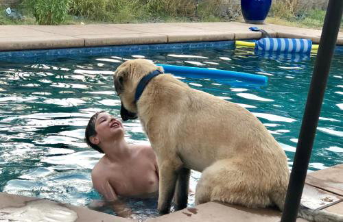 Amazing Loft on Horse Ranch - Foto 49