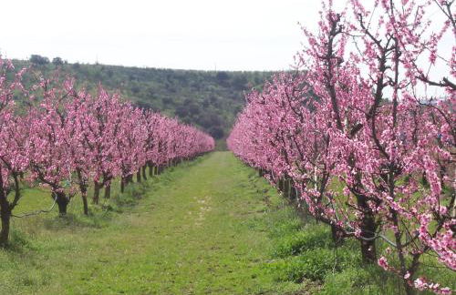 Casa Rural Abuela Maxi - Photo 80