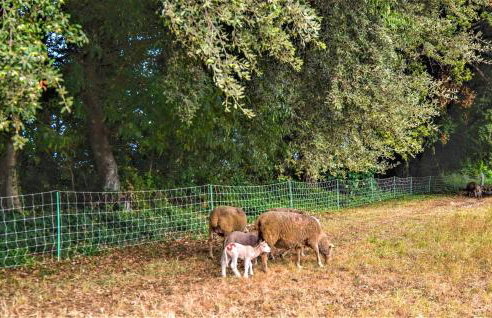 Nice Home In Arles With Wifi - Foto 8