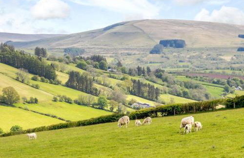 1 Bed in Brecon oc-bn034 - Foto 19