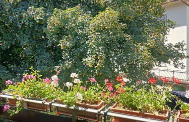 Chalet Relax&Salute - Foto 38