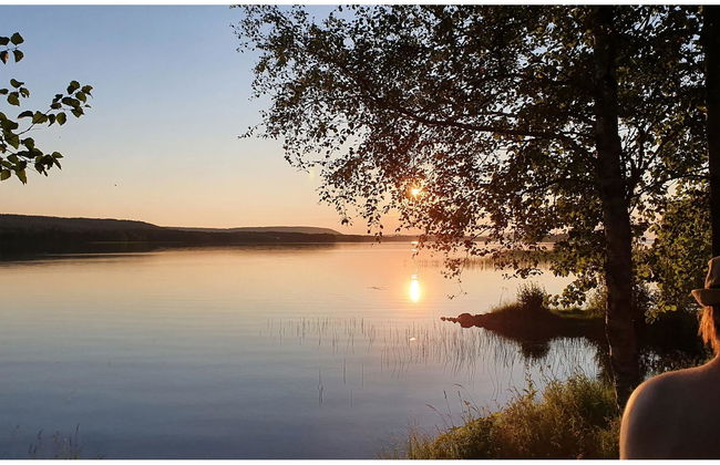 Koivulahden reinola - Foto 13