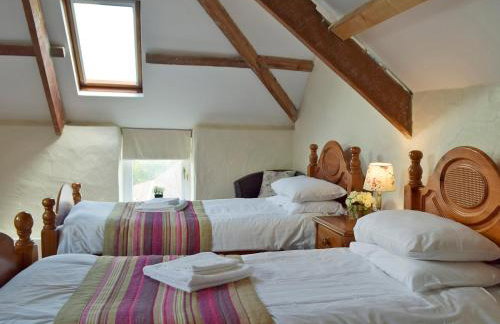 Braveheart's - Uk6740 - Foto 7